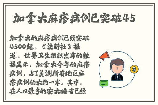 红料不打烊